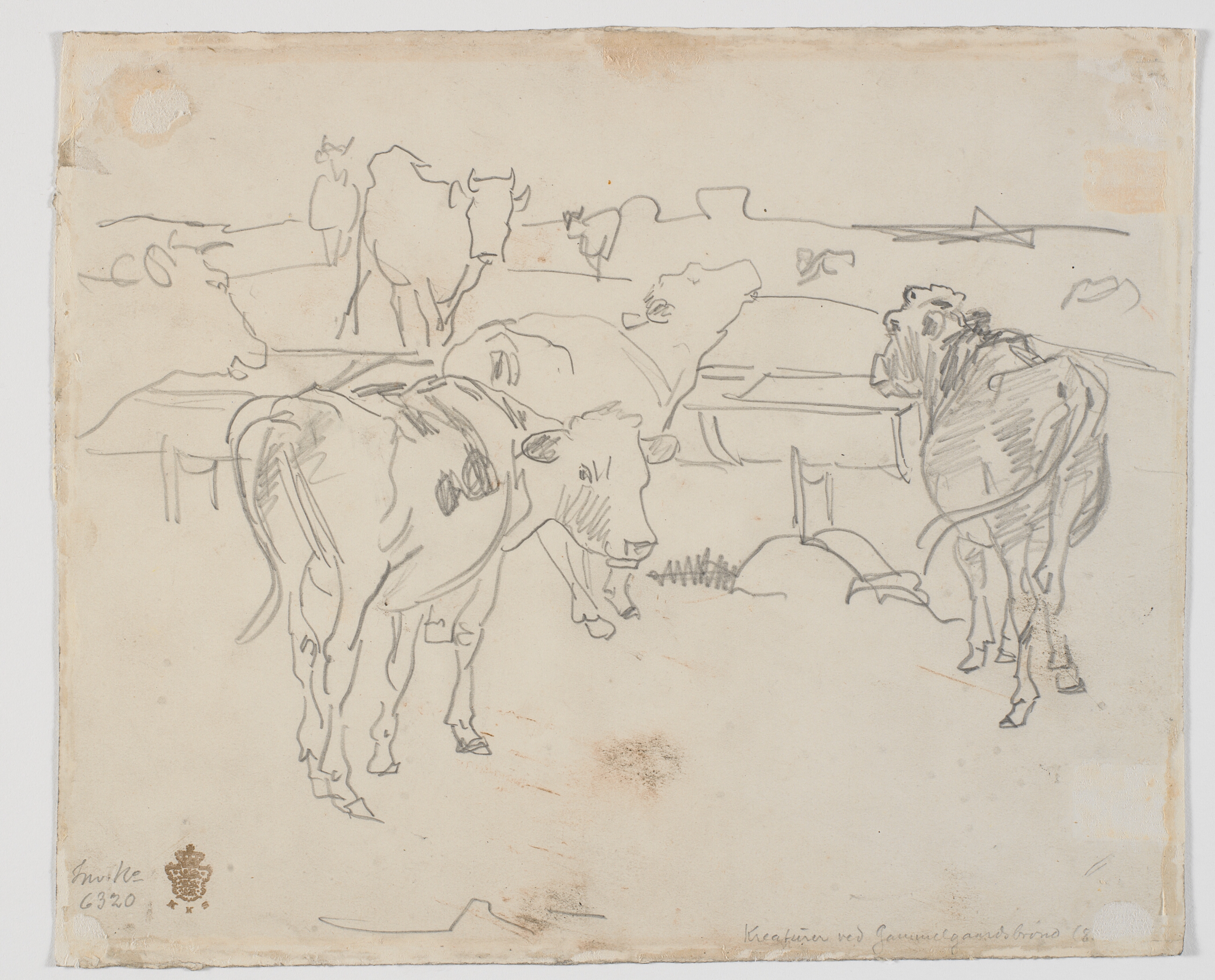 Gennemtegning af forsiden: Kreaturer ved Gammelgårds brønd